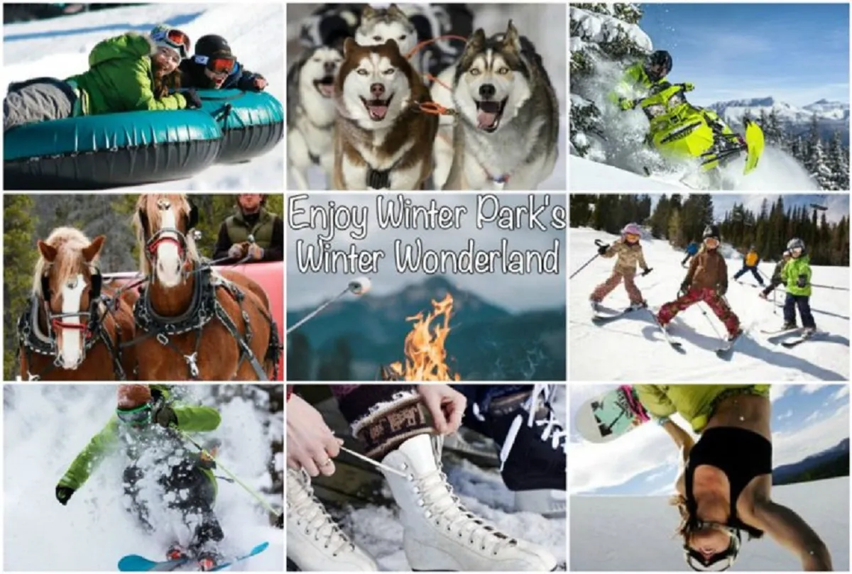 A bustling winter scene featuring people tubing, dog sledding, snowmobiling, and families gathered around a fire pit. Children ski and ice skate, while horses pull a sled nearby—showcasing the excitement and diversity of seasonal adventures just outside town.